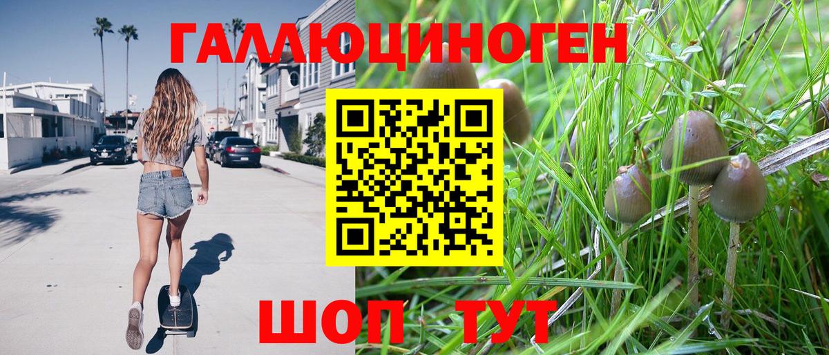 Псилоцибиновые грибы мицелий  Вход с VPN  Лангепас 