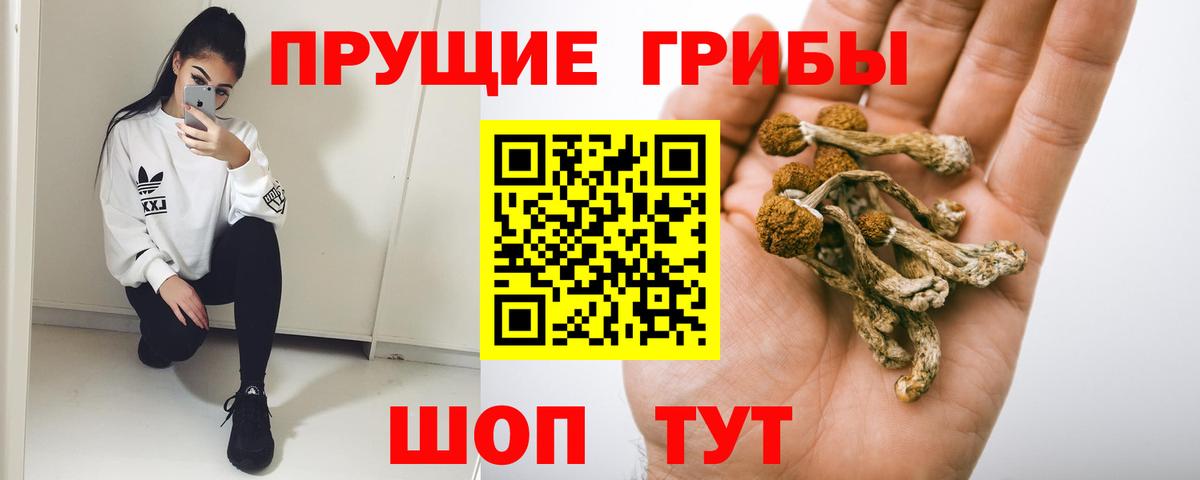 Галлюциногенные грибы прущие грибы Лангепас